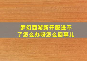 梦幻西游新开服进不了怎么办呀怎么回事儿