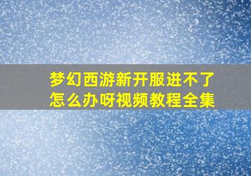 梦幻西游新开服进不了怎么办呀视频教程全集