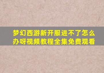 梦幻西游新开服进不了怎么办呀视频教程全集免费观看