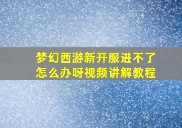 梦幻西游新开服进不了怎么办呀视频讲解教程