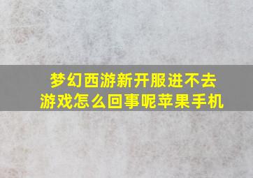 梦幻西游新开服进不去游戏怎么回事呢苹果手机