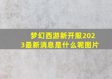 梦幻西游新开服2023最新消息是什么呢图片