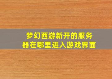 梦幻西游新开的服务器在哪里进入游戏界面