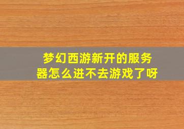 梦幻西游新开的服务器怎么进不去游戏了呀