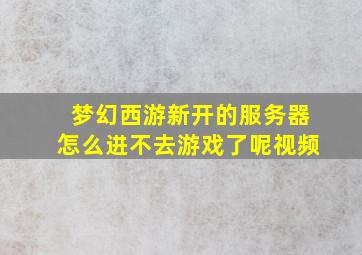 梦幻西游新开的服务器怎么进不去游戏了呢视频