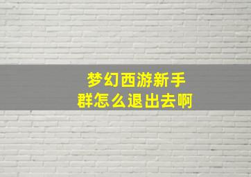 梦幻西游新手群怎么退出去啊