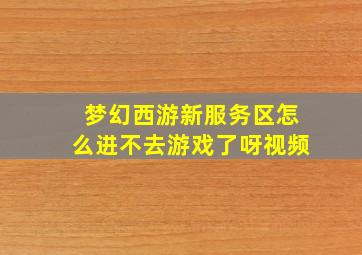 梦幻西游新服务区怎么进不去游戏了呀视频