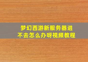 梦幻西游新服务器进不去怎么办呀视频教程