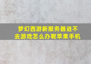 梦幻西游新服务器进不去游戏怎么办呢苹果手机