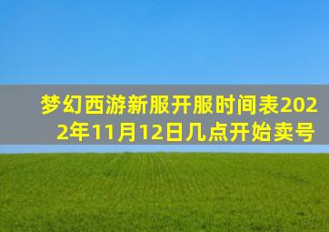 梦幻西游新服开服时间表2022年11月12日几点开始卖号