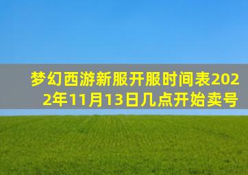 梦幻西游新服开服时间表2022年11月13日几点开始卖号