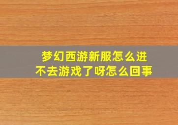 梦幻西游新服怎么进不去游戏了呀怎么回事