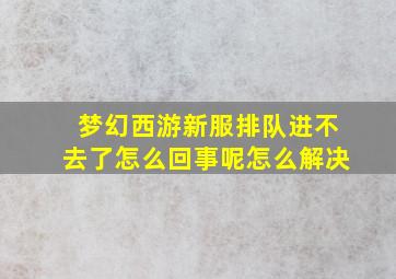 梦幻西游新服排队进不去了怎么回事呢怎么解决