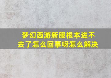 梦幻西游新服根本进不去了怎么回事呀怎么解决