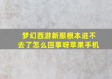 梦幻西游新服根本进不去了怎么回事呀苹果手机