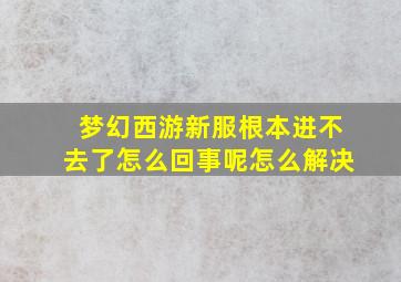 梦幻西游新服根本进不去了怎么回事呢怎么解决