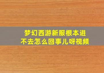 梦幻西游新服根本进不去怎么回事儿呀视频