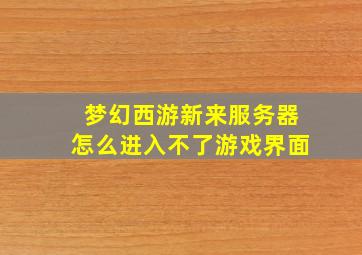 梦幻西游新来服务器怎么进入不了游戏界面