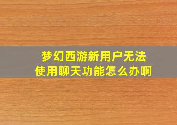 梦幻西游新用户无法使用聊天功能怎么办啊