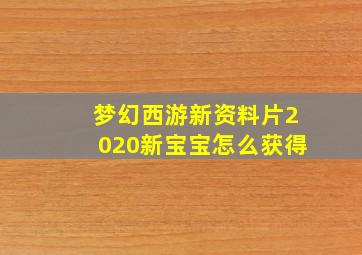 梦幻西游新资料片2020新宝宝怎么获得