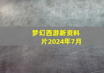 梦幻西游新资料片2024年7月