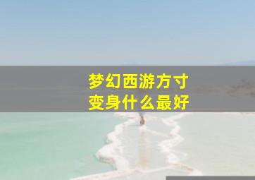 梦幻西游方寸变身什么最好