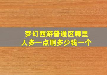 梦幻西游普通区哪里人多一点啊多少钱一个