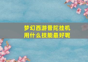 梦幻西游普陀挂机用什么技能最好呢