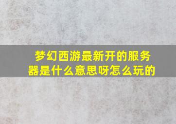 梦幻西游最新开的服务器是什么意思呀怎么玩的