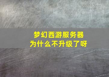 梦幻西游服务器为什么不升级了呀