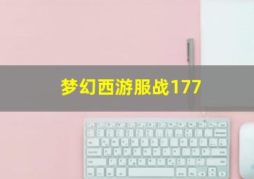 梦幻西游服战177