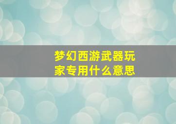 梦幻西游武器玩家专用什么意思