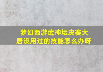 梦幻西游武神坛决赛大唐没用过的技能怎么办呀