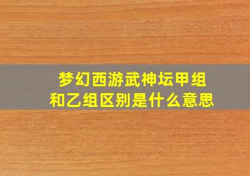 梦幻西游武神坛甲组和乙组区别是什么意思