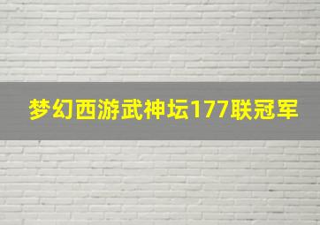 梦幻西游武神坛177联冠军