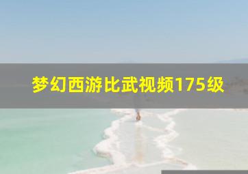 梦幻西游比武视频175级