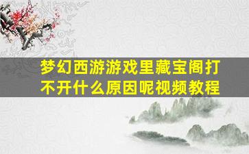 梦幻西游游戏里藏宝阁打不开什么原因呢视频教程