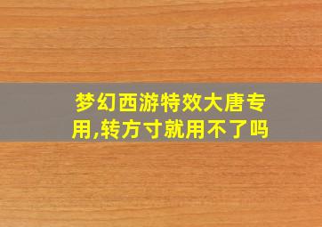 梦幻西游特效大唐专用,转方寸就用不了吗