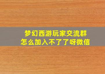 梦幻西游玩家交流群怎么加入不了了呀微信