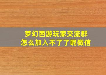 梦幻西游玩家交流群怎么加入不了了呢微信