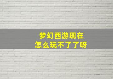 梦幻西游现在怎么玩不了了呀