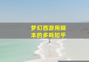 梦幻西游用脚本的多吗知乎