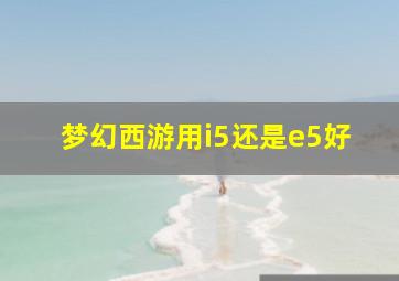 梦幻西游用i5还是e5好