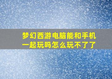 梦幻西游电脑能和手机一起玩吗怎么玩不了了