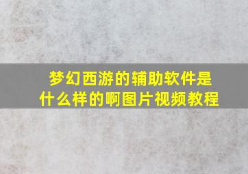 梦幻西游的辅助软件是什么样的啊图片视频教程