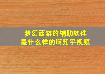 梦幻西游的辅助软件是什么样的啊知乎视频