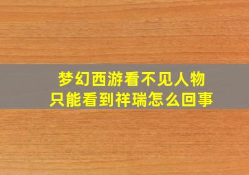 梦幻西游看不见人物只能看到祥瑞怎么回事