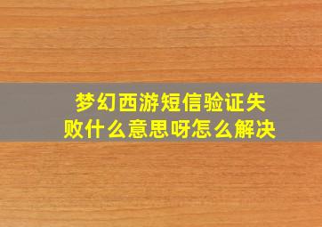 梦幻西游短信验证失败什么意思呀怎么解决