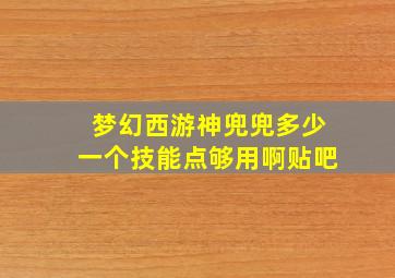 梦幻西游神兜兜多少一个技能点够用啊贴吧