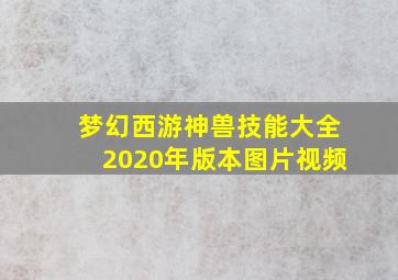 梦幻西游神兽技能大全2020年版本图片视频